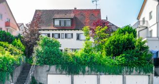 von_poll_real_estate_property_25455018_image_4