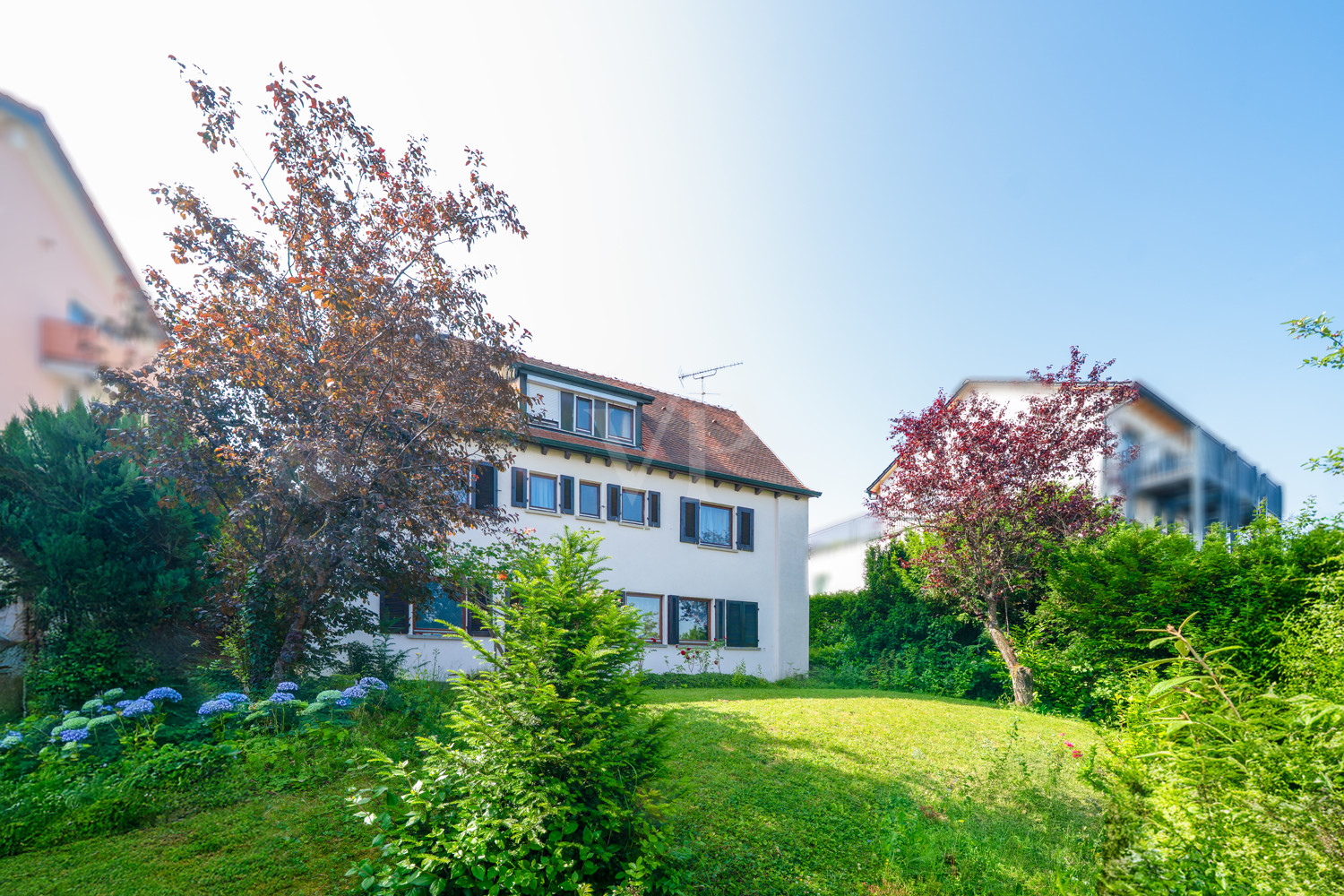 Außenansicht vom Garten