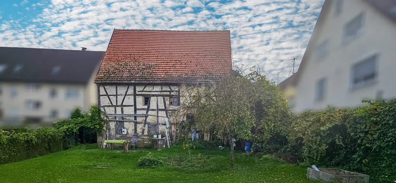 Gartenblick zur Scheune