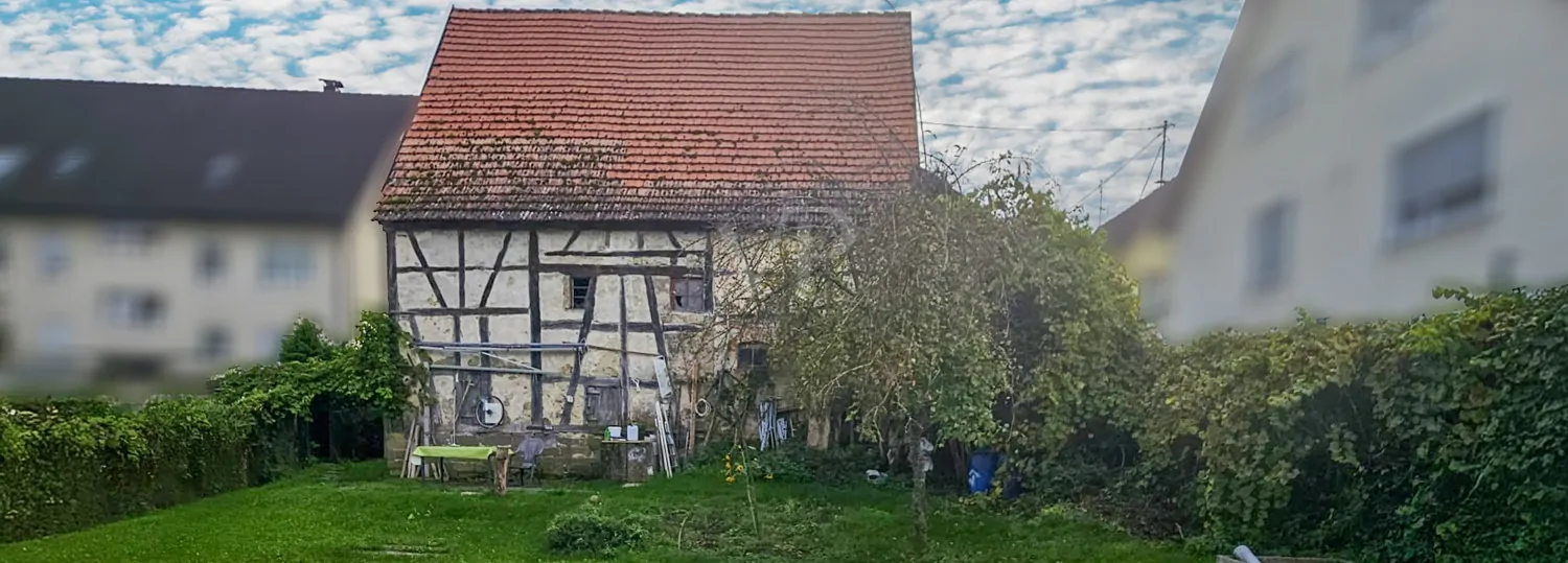 Gartenblick zur Scheune