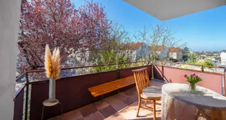 von_poll_real_estate_property_25455006_image_16