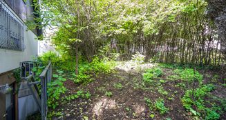 von_poll_real_estate_property_25455040_image_15