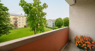 von_poll_real_estate_property_25455027_image_11