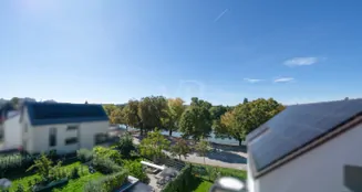 von_poll_real_estate_property_25455045_image_4