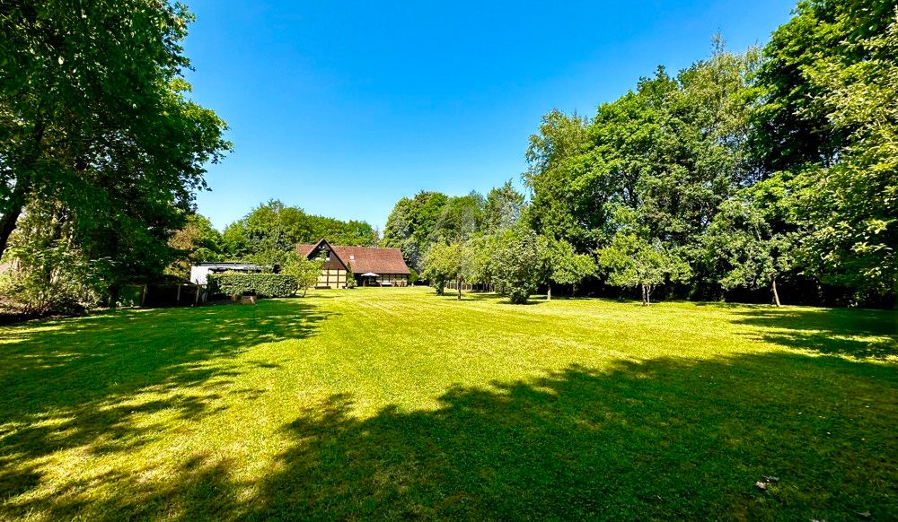 Garten hinten