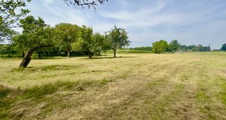 von_poll_real_estate_property_25388005_image_14