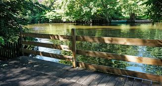 von_poll_real_estate_property_25187008a_image_11