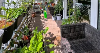 von_poll_real_estate_property_25187020_image_6