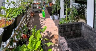 von_poll_real_estate_property_25187020_image_6