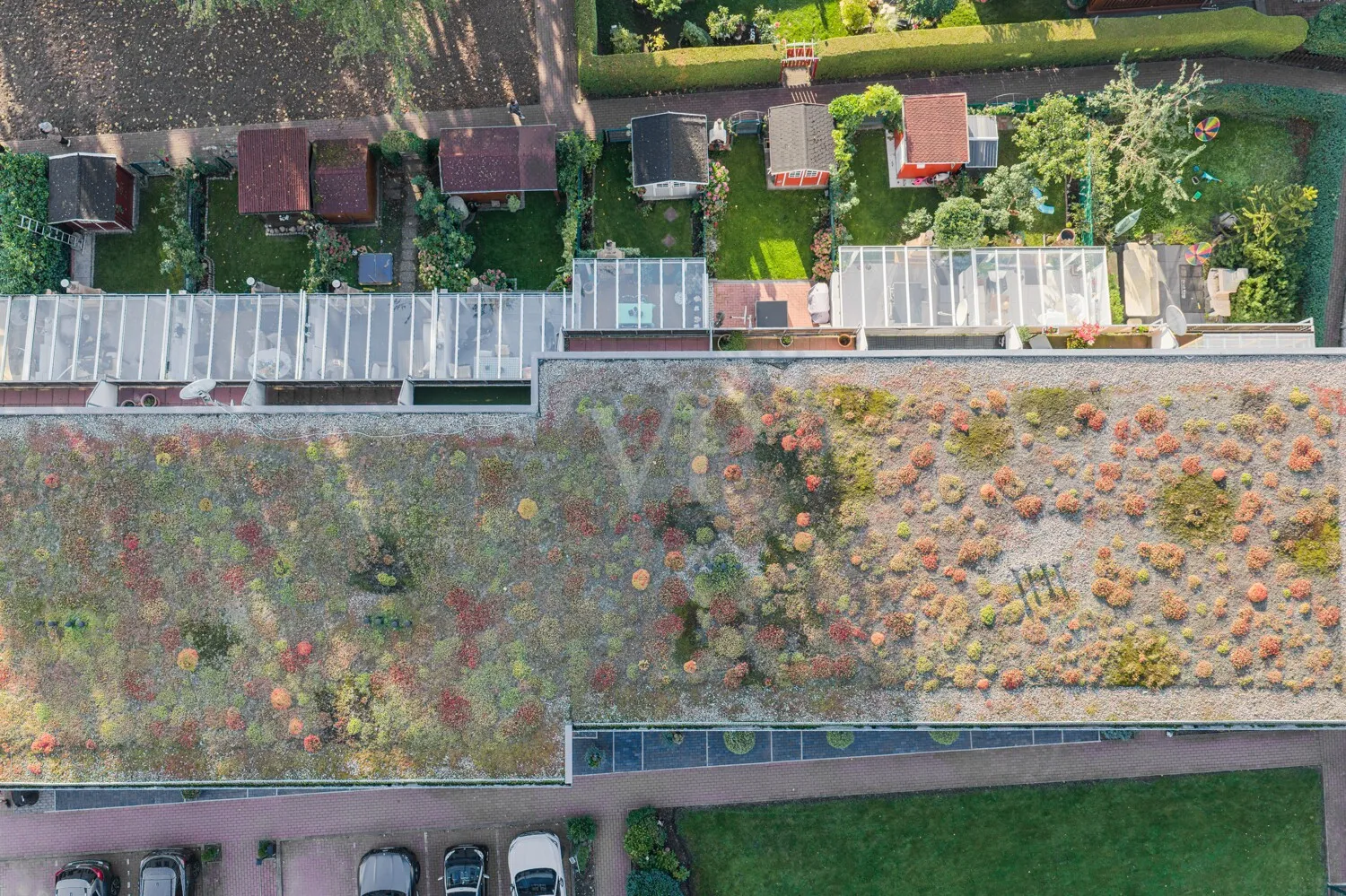 Beitrag zur Natur - modernes Gründach