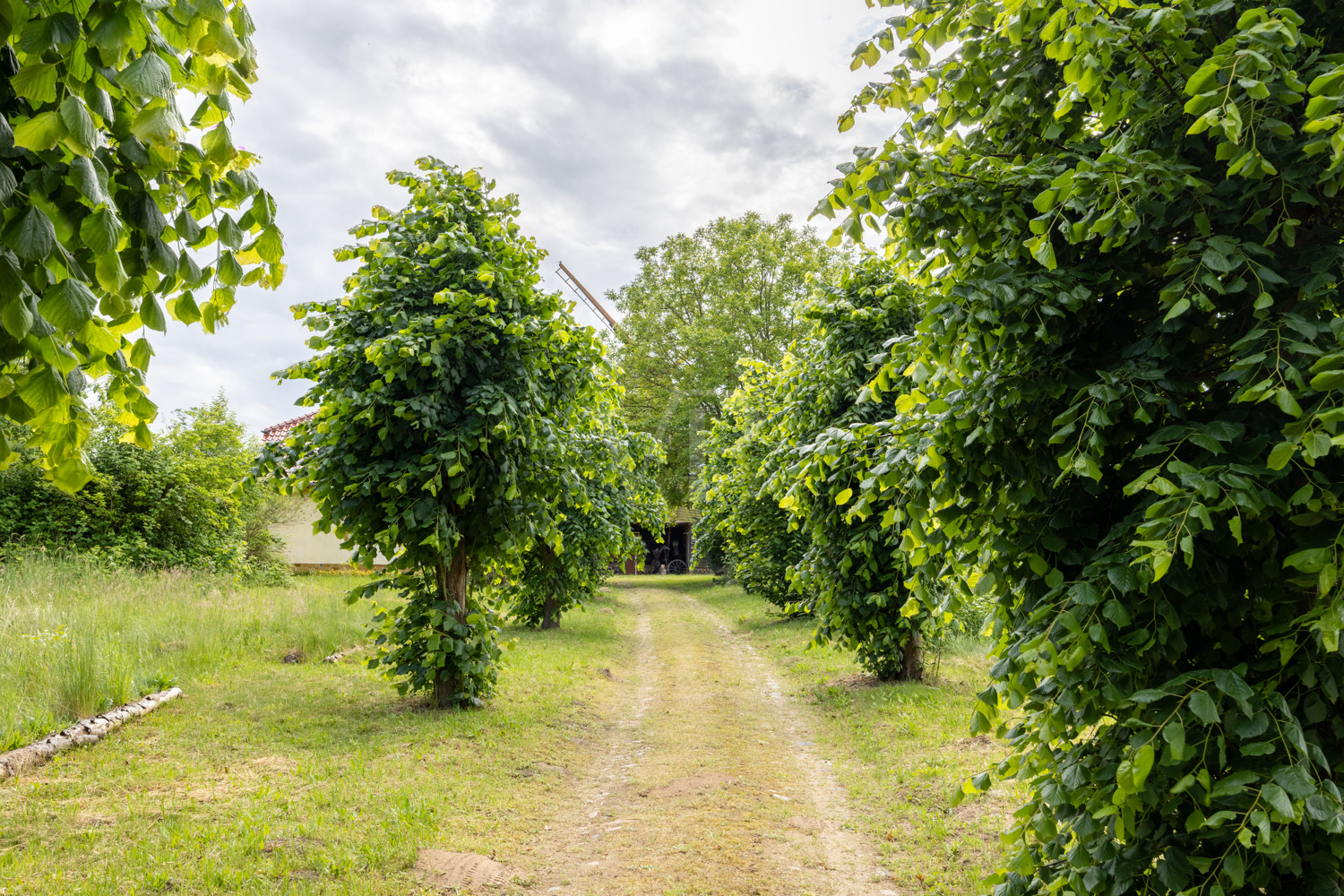 Zuwegung zum Haus