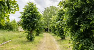 von_poll_real_estate_property_25265009_image_13