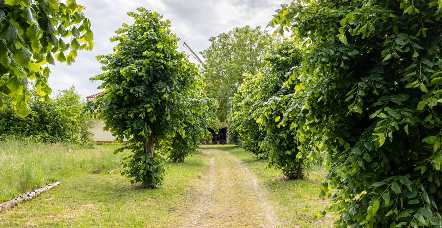 Zuwegung zum Haus
