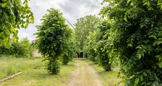 von_poll_real_estate_property_25265009_image_13