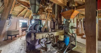 von_poll_real_estate_property_25265009_image_11