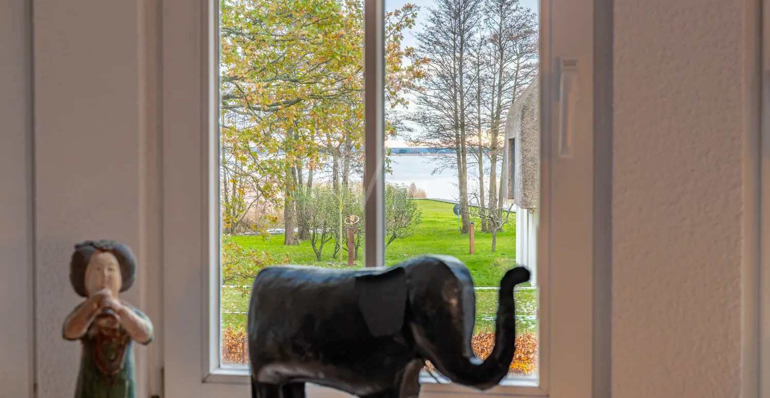 schimmernder Boddenblick