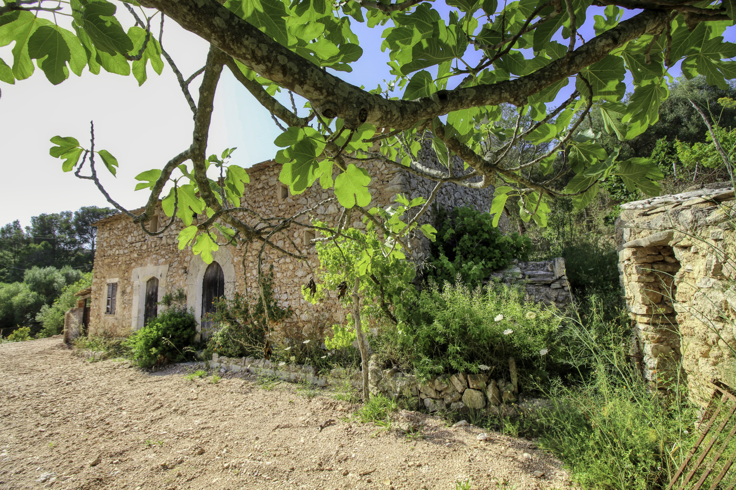 Zu-verkaufen-großes-traditionelles-Haus-zur-Renovierung-in-Son-Servera