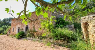 von_poll_real_estate_property_ES244638_image_9