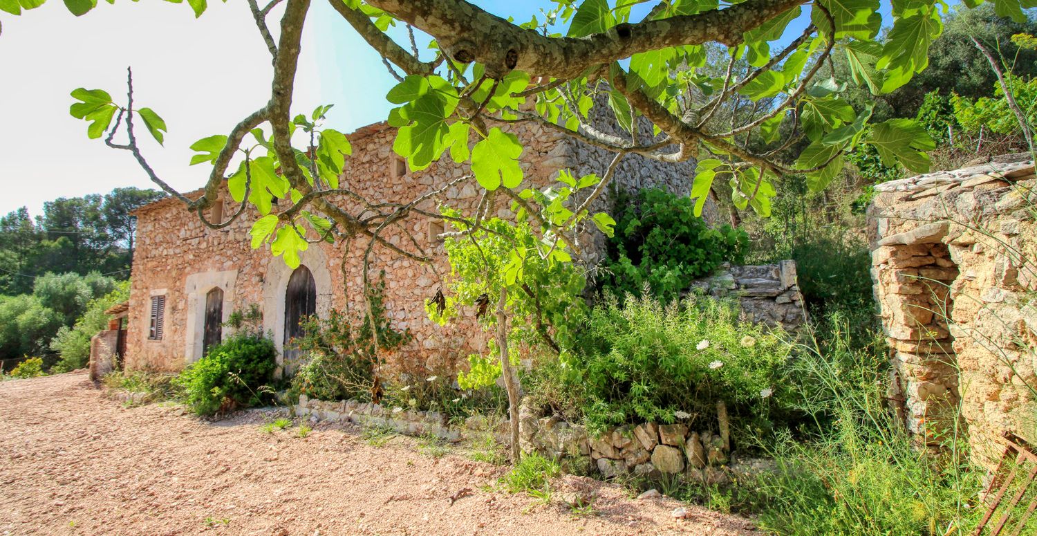 Zu-verkaufen-großes-traditionelles-Haus-zur-Renovierung-in-Son-Servera