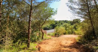 von_poll_real_estate_property_ES244638_image_21