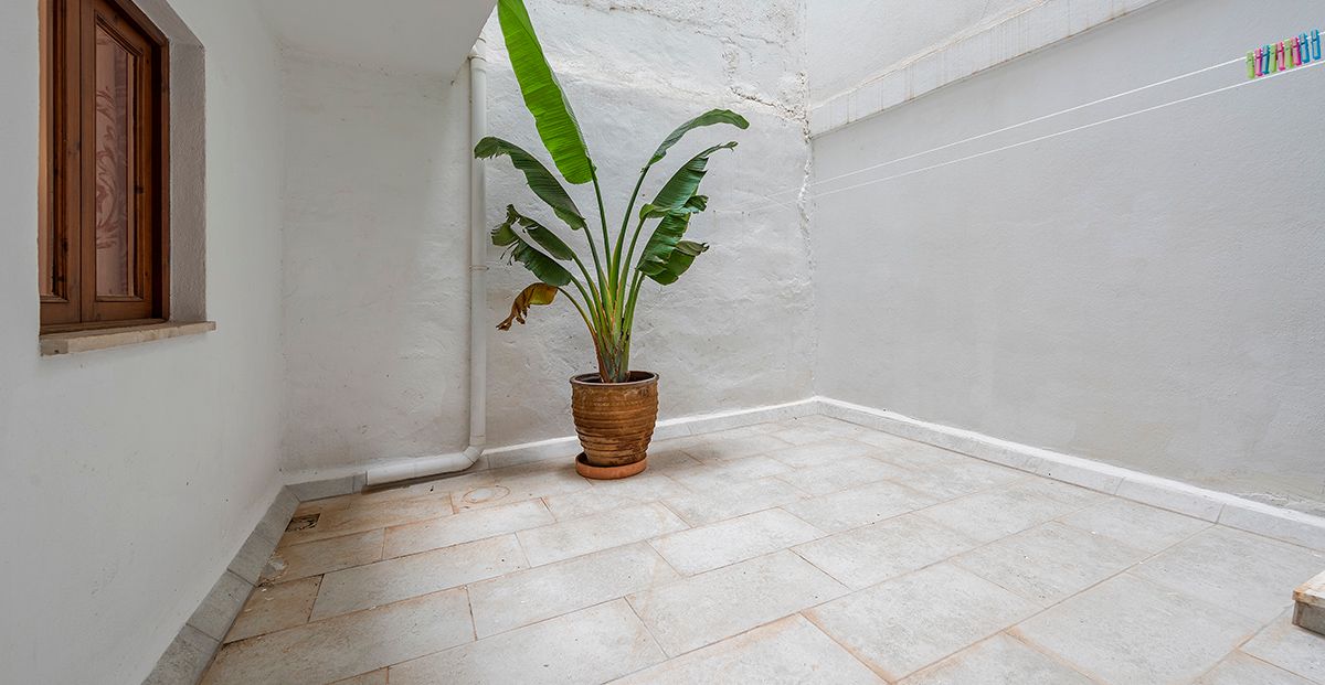 Luxuriöse-Wohnung-direkt-am-Meer-in-Puerto-de-Alcudia