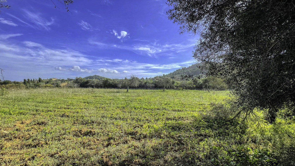 For-sale-1,7-hectares-of-land-with-possibility-to-build-a-house-and-swimming-pool-with-views-of-Artá
