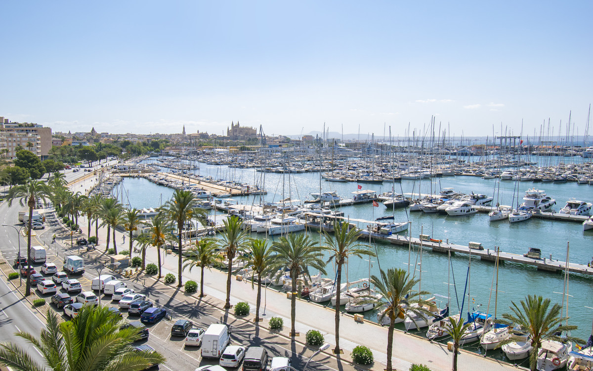 Fantastische-Wohnung-am-Meer-First-Line-en-Palma-de-Mallorca