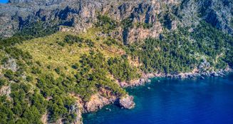 von_poll_real_estate_property_ES244703_image_0
