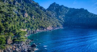 von_poll_real_estate_property_ES244703_image_8
