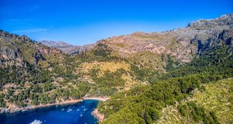 von_poll_real_estate_property_ES244703_image_11