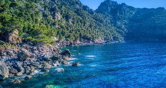 von_poll_real_estate_property_ES244703_image_10