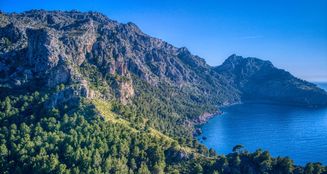 von_poll_real_estate_property_ES244703_image_14