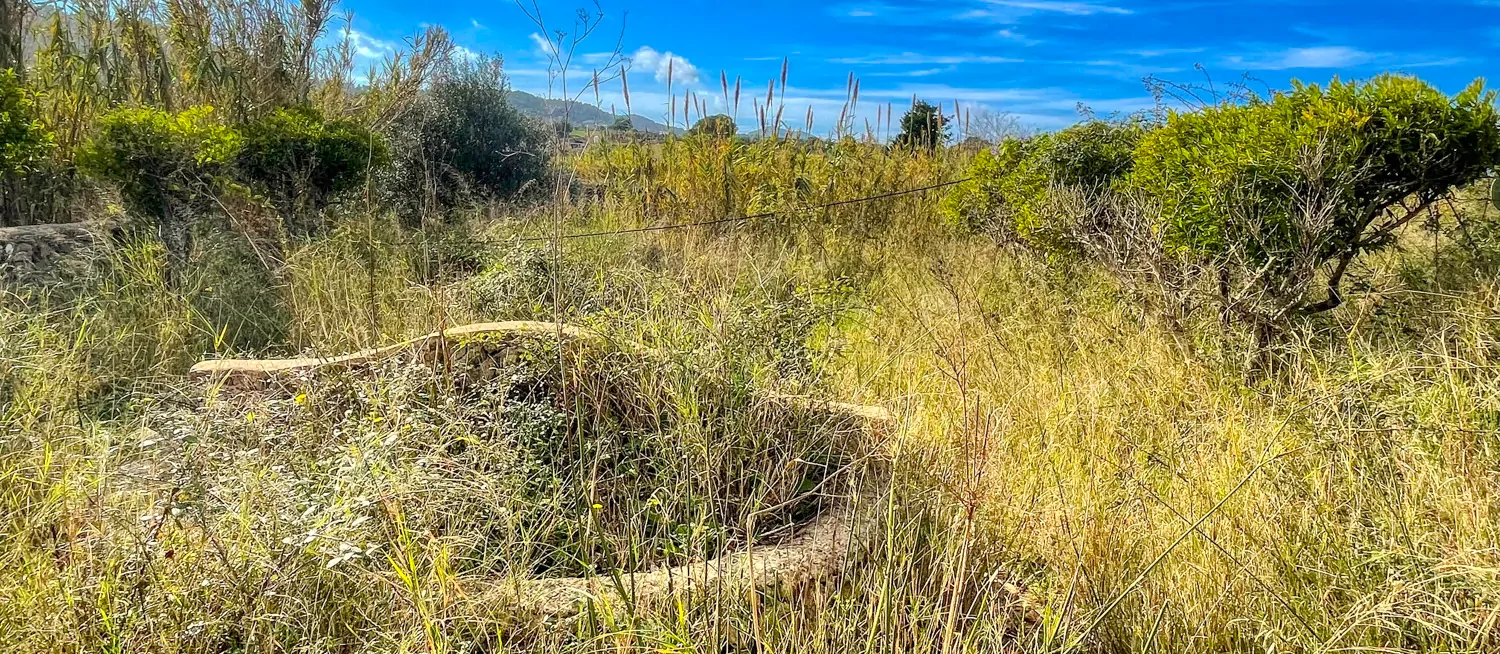 Zu-verkaufen-altes-rustikales-Haus-zu-renovieren-in-Artá