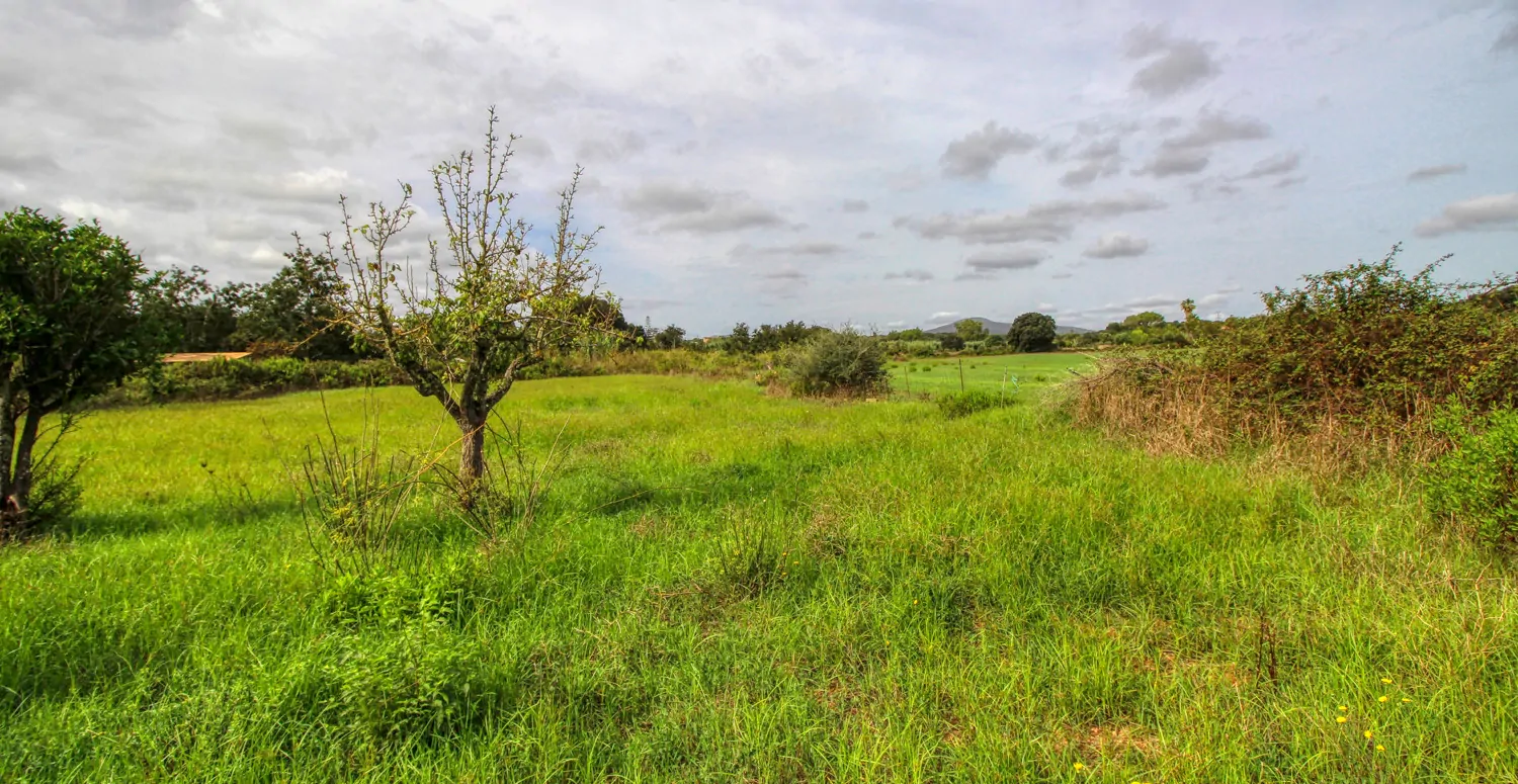 Zu-verkaufen-altes-rustikales-Haus-zu-renovieren-in-Artá