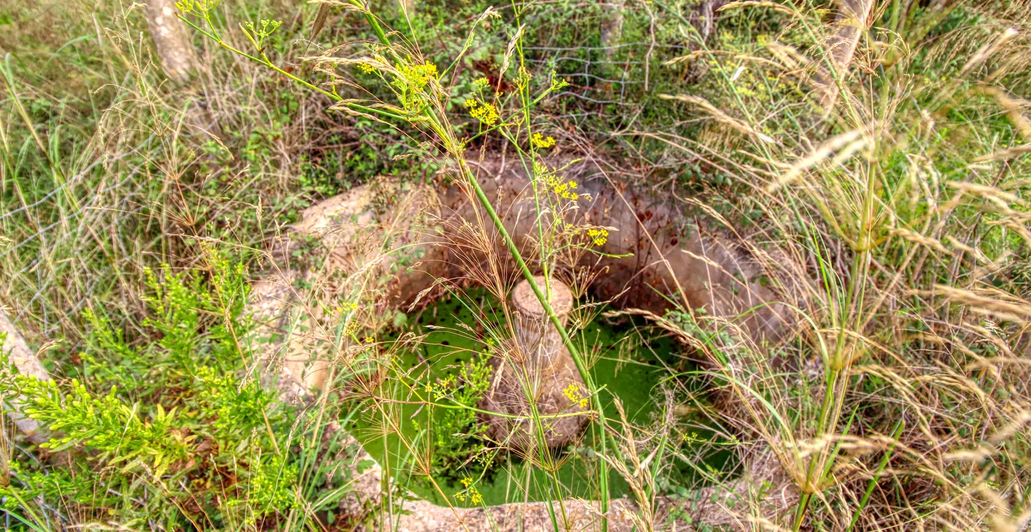 Zu-verkaufen-altes-rustikales-Haus-zu-renovieren-in-Artá