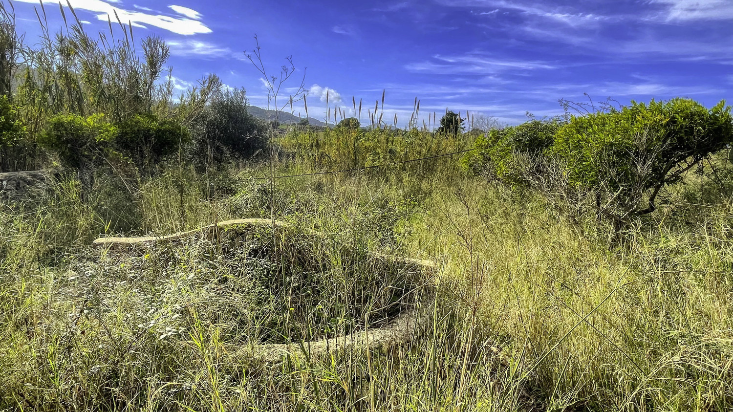 En-venta-antigua-casa-rústica-para-reformar-en-Artá