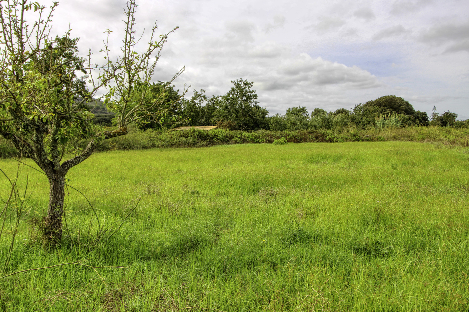 En-venta-antigua-casa-rústica-para-reformar-en-Artá