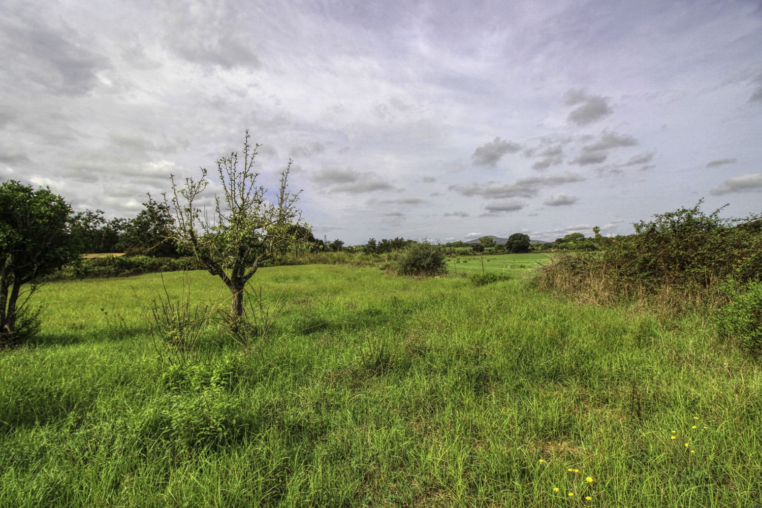 En-venta-antigua-casa-rústica-para-reformar-en-Artá