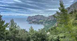 von_poll_real_estate_property_ES244734_image_11