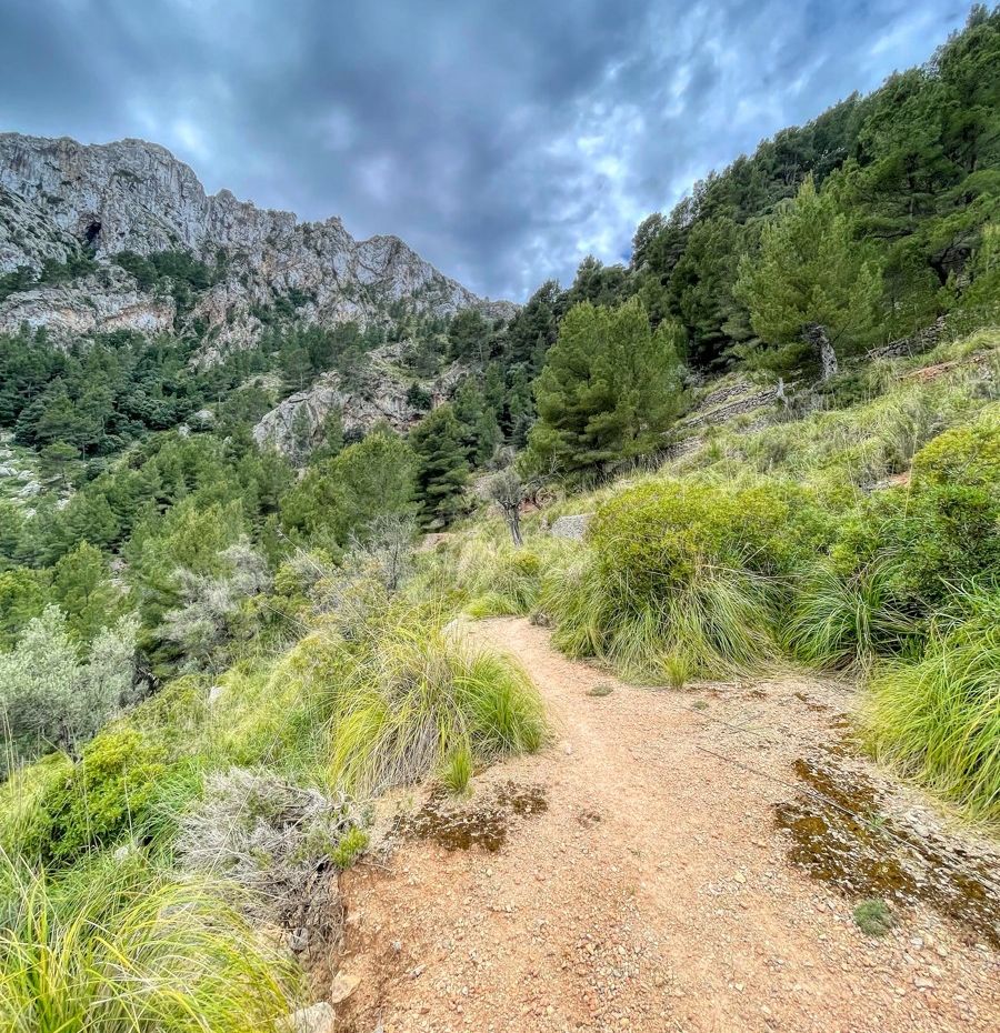 Fantastisches traditionelles mallorquinisches Haus in der Serra de Tramuntana-Gebirgskette