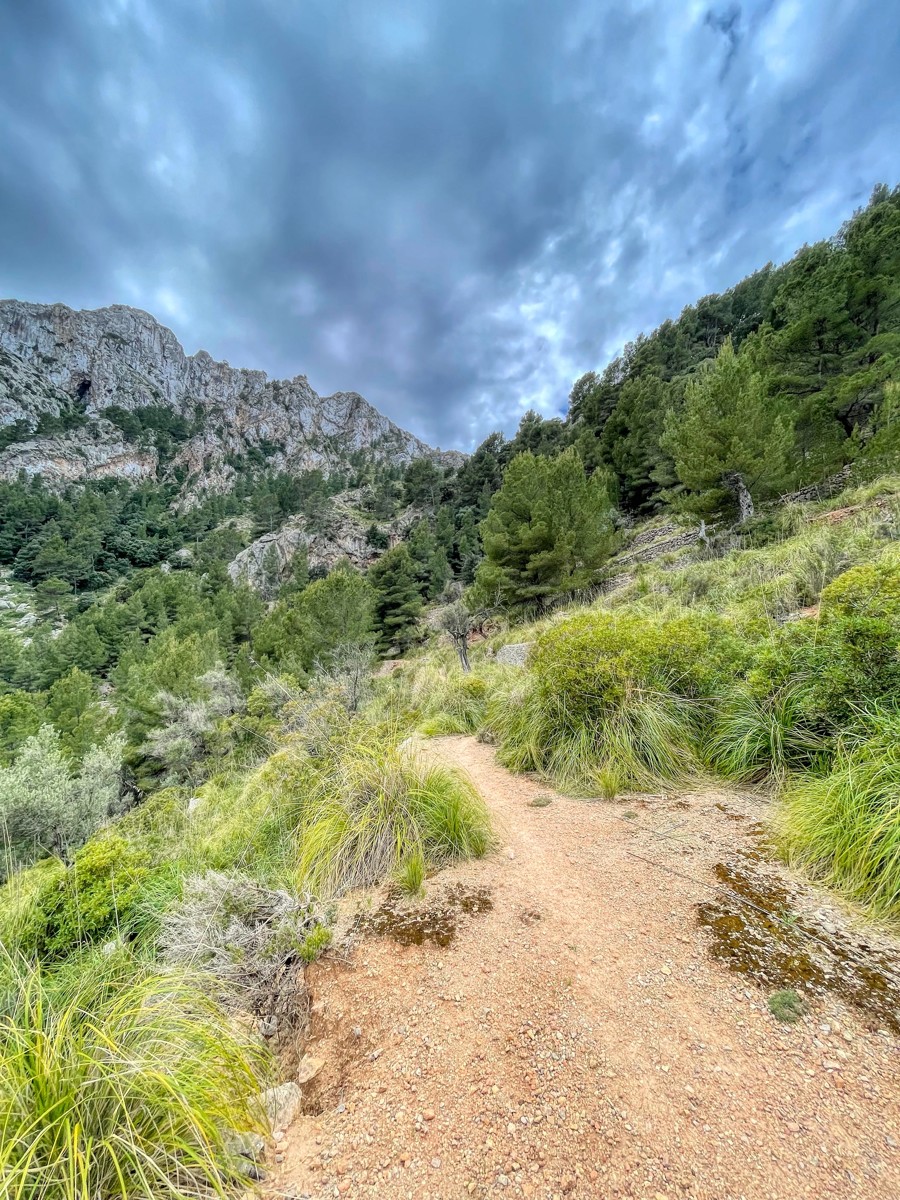 Fantastisches traditionelles mallorquinisches Haus in der Serra de Tramuntana-Gebirgskette