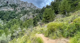 von_poll_real_estate_property_ES244734_image_65