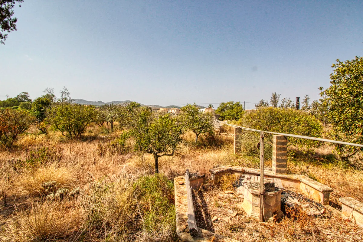 For-sale-historic-rustic-house-on-the-outskirts-of-Manacor