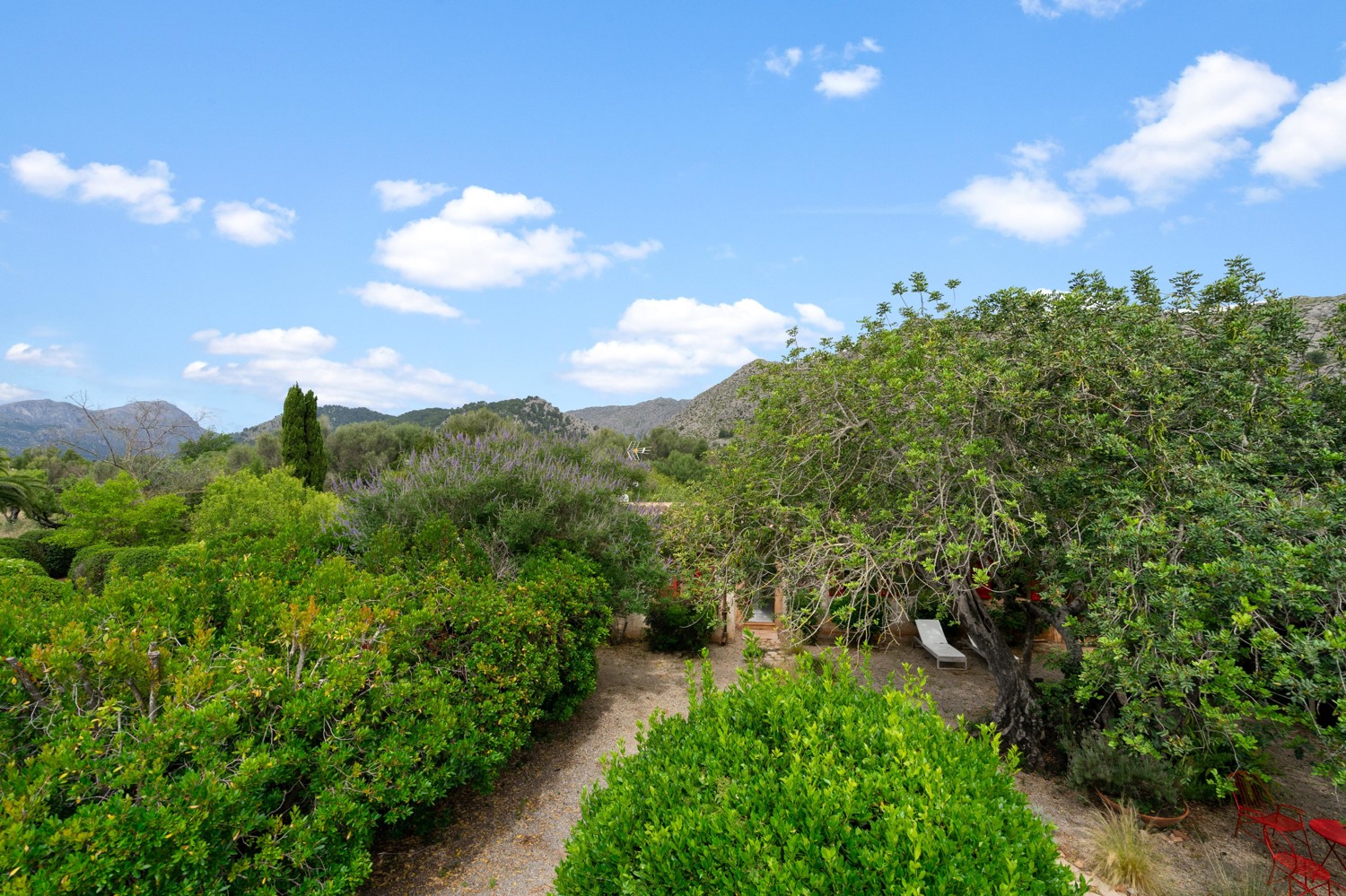 Finca-con-piscina-y-licencia-turística-en-Pollensa