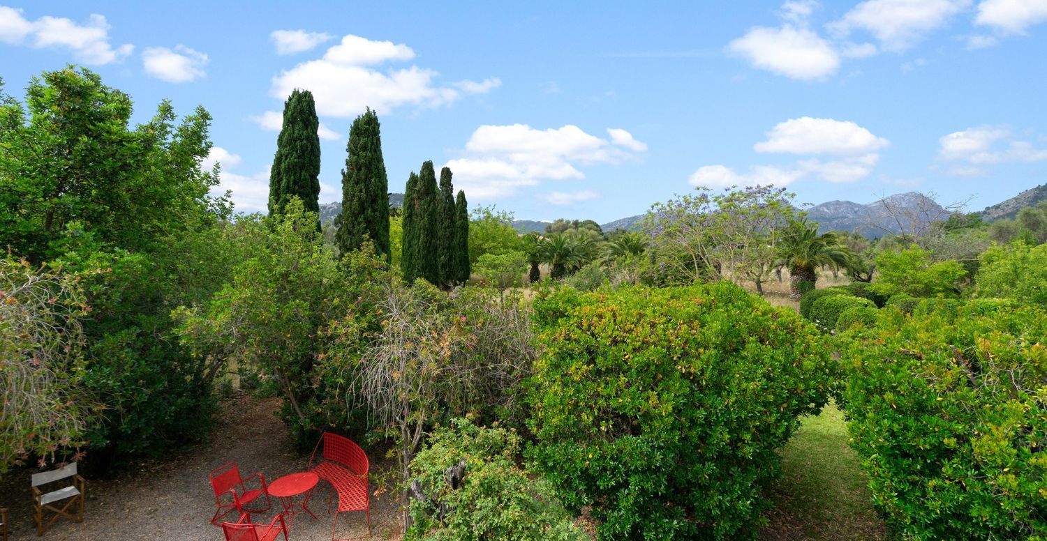 Finca-mit-Pool-und-Touristen-Lizenz-in-Pollensa
