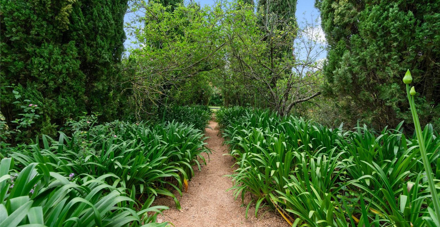 Finca-mit-Pool-und-Touristen-Lizenz-in-Pollensa