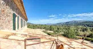 von_poll_real_estate_property_ES244854_image_70