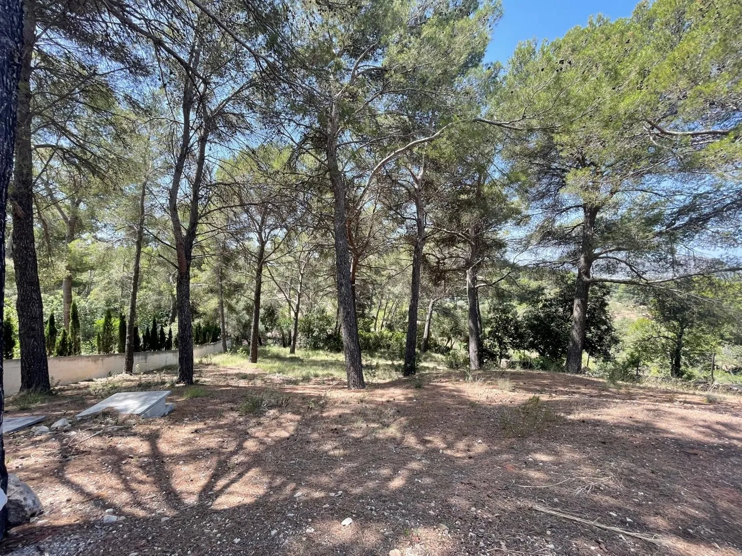 Villa-Bonaire-Alcudia