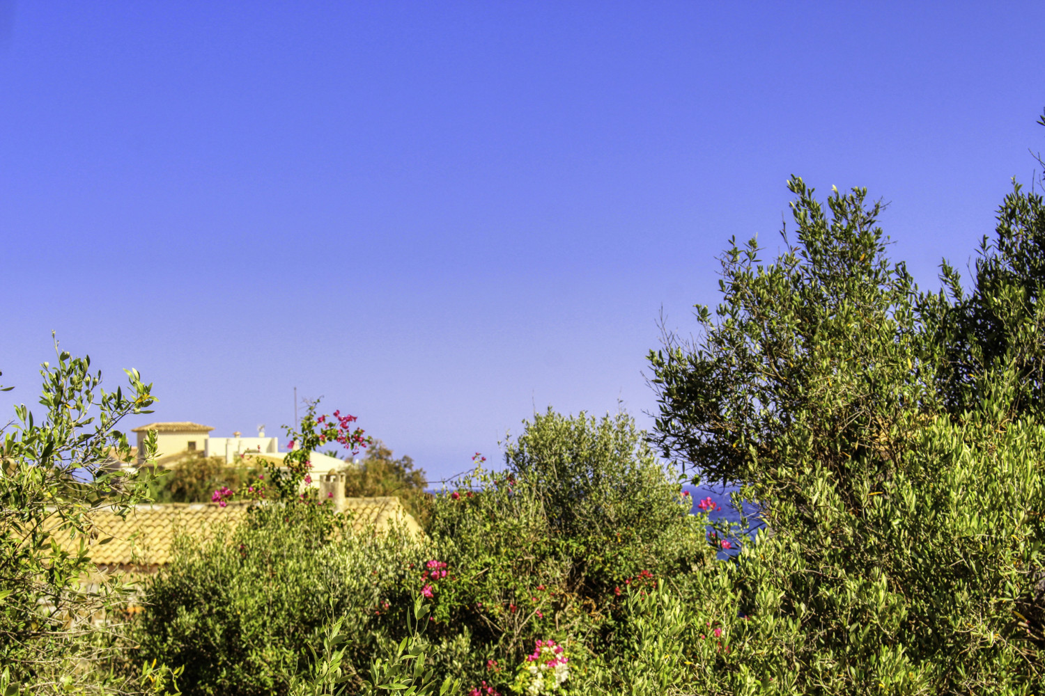 Zu-verkaufen-fantastisches-renoviertes-Haus-in-zweiter-Meereslinie-in-Cala-Morlanda-Mallorca