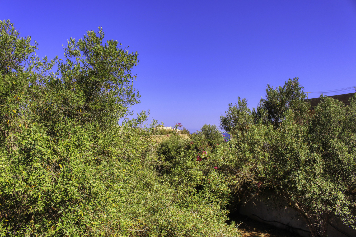 Zu-verkaufen-fantastisches-renoviertes-Haus-in-zweiter-Meereslinie-in-Cala-Morlanda-Mallorca